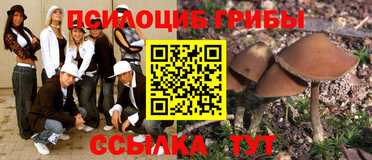 Псилоцибиновые грибы GOLDEN TEACHER  Псилоцибиновые грибы Psilocybe  Славгород  Вход с VPN 